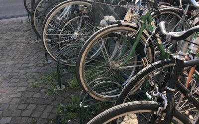 La Bologna che Pedala – Questionario sui percorsi ciclabili bolognesi