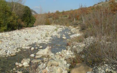 Domenica 27 febbraio – Torrente Idice : giro di perlustrazione – Escursione