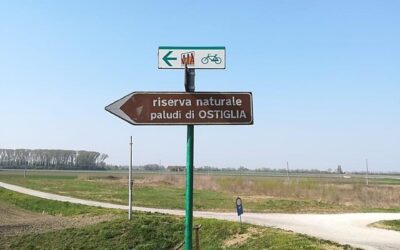 Domenica  2 Luglio – Da Ostiglia a Verona – Escursione